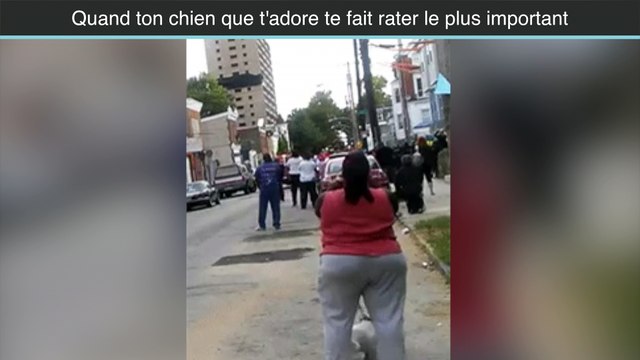 Elle rate la démolition du batiment à cause de son chien... FAIL