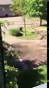 По полу по полууууууууу 240