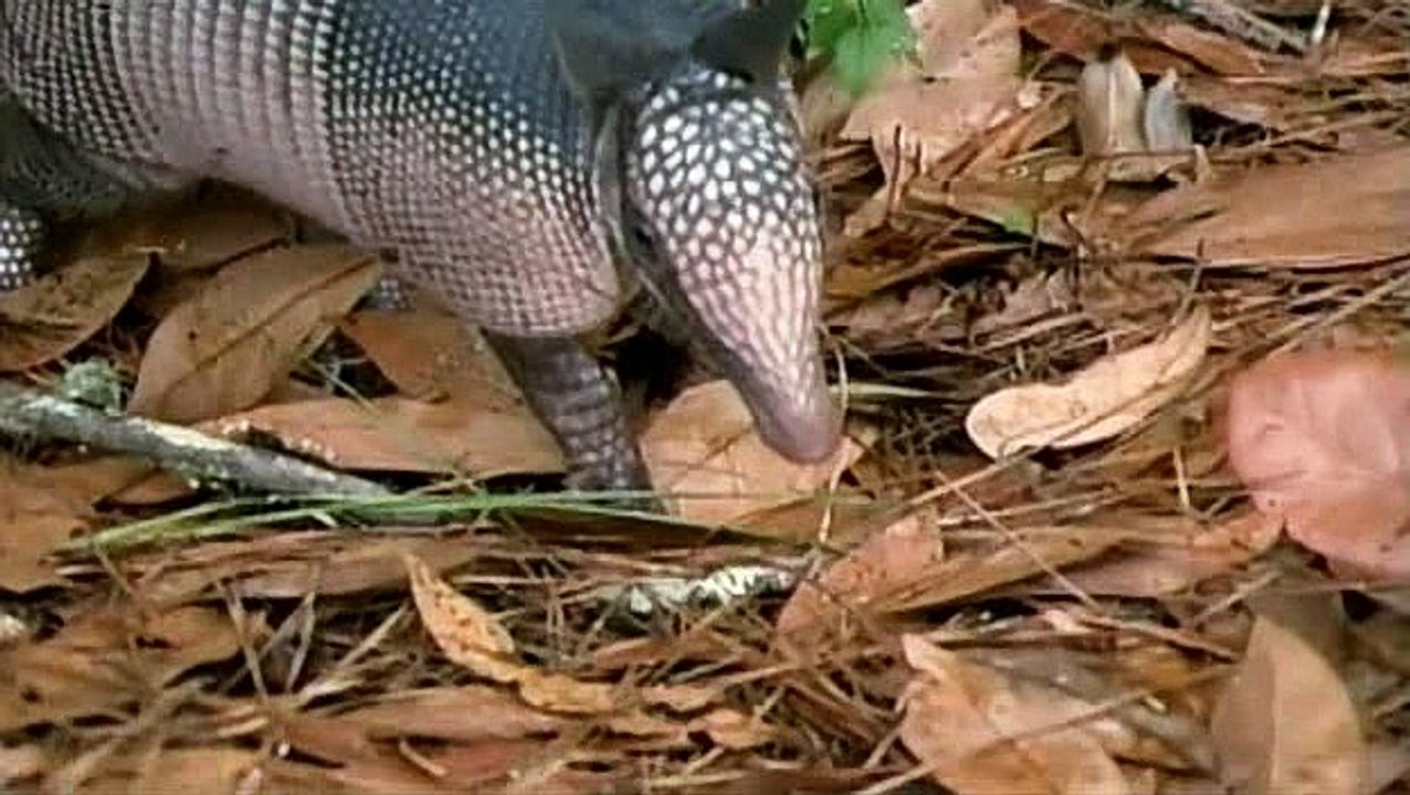 Élet Az Emberek Után S01e09