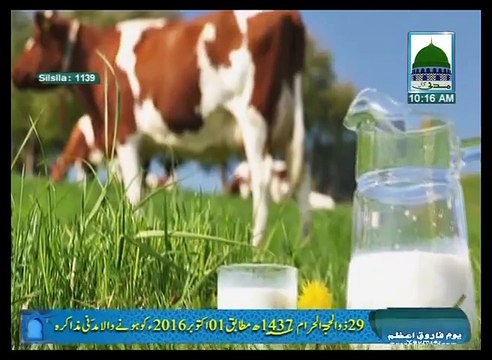 07. Madani Muzakra Bapa Jani Kay Sath