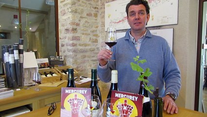 Présentations des millésimes dégustés à la Saint-Vincent tournante de Mercurey