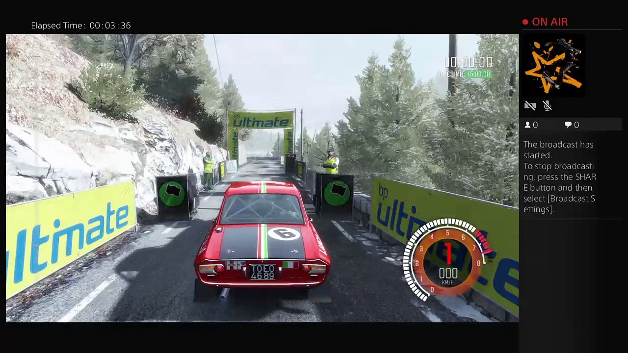 DIRT RALLY (4)