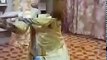 Pakistani Girl Latest Mujra Dance Song Naseebo lal zabrdast dance   YouTube