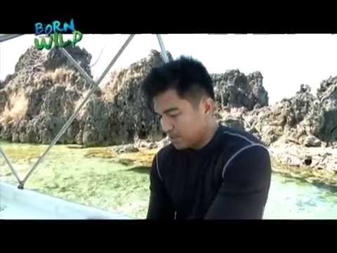 Doc Ferds Recio swims with sharks