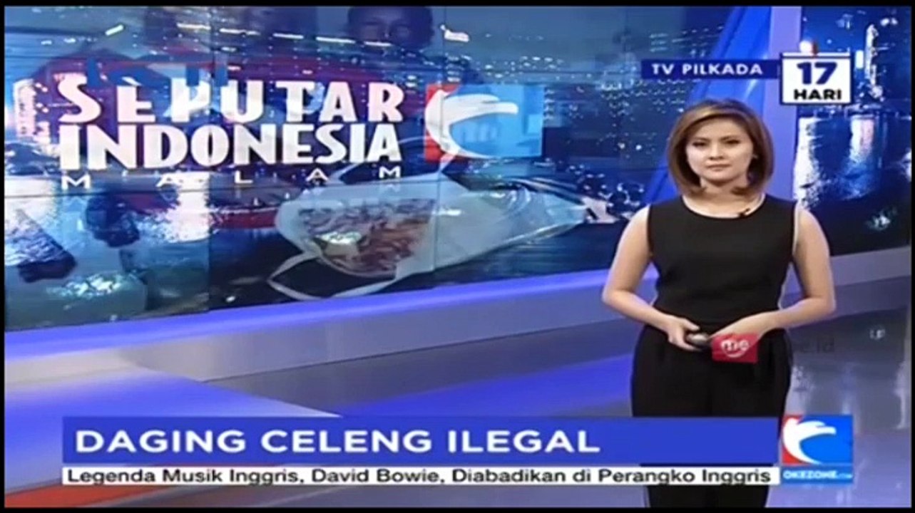 Daging Celeng Ilegal Diamankan Polisi