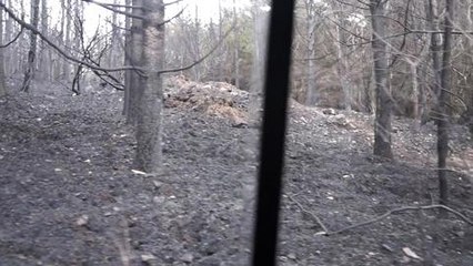 Le feu de foret vu du ciel...