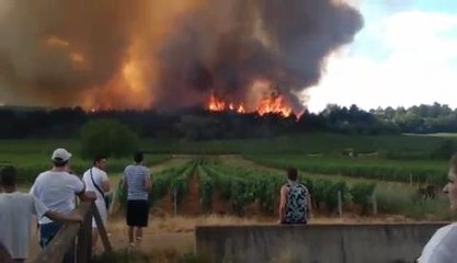 Incendie sur le plateau de Chenove : au plus pres du brasier...