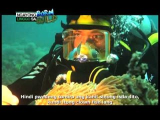 Giving and sharing in the animal world