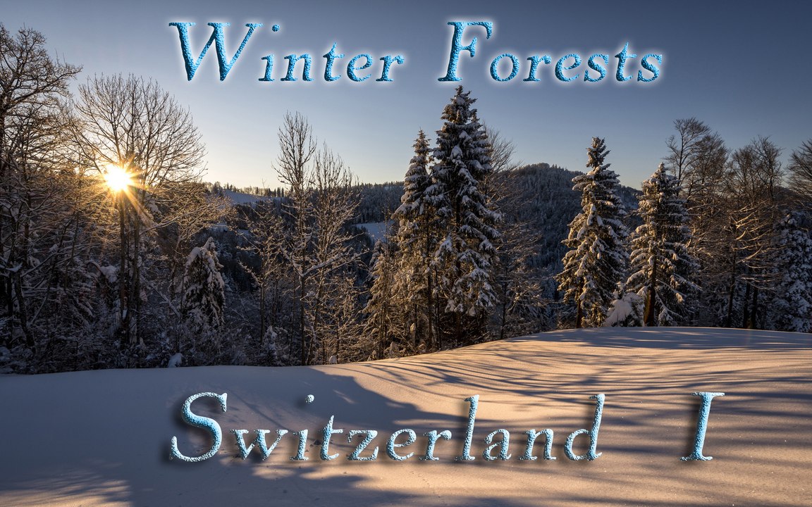 Bosques en invierno, Suiza. Winter Forests, Switzerland 4k I