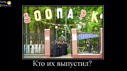 ПРИКОЛЫ ЗА НЕДЕЛЮ ЛУЧШИЕ ПРИКОЛЫ