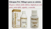 Recupere Seus Cabelos Elastico e Danificados Com Glicopan Pet