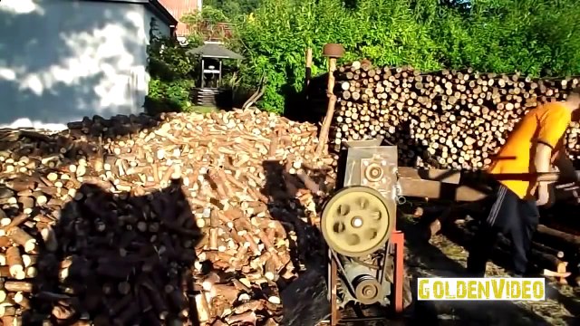 Приколы про кошек и людей самые смешные: мышь гоняет кота [#7]