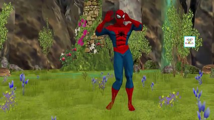 Spiderman Dancing and Singing Old McDonald Had a Farm Incy Wincy Spider, Baa Baa Black Sheep Nursery