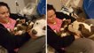 Woman overwhelmed when her rescue Pit Bull places her 11 newborn puppies into her lap