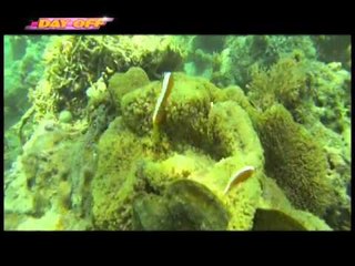 Maey B and Pekto as Butanding Interaction Officers