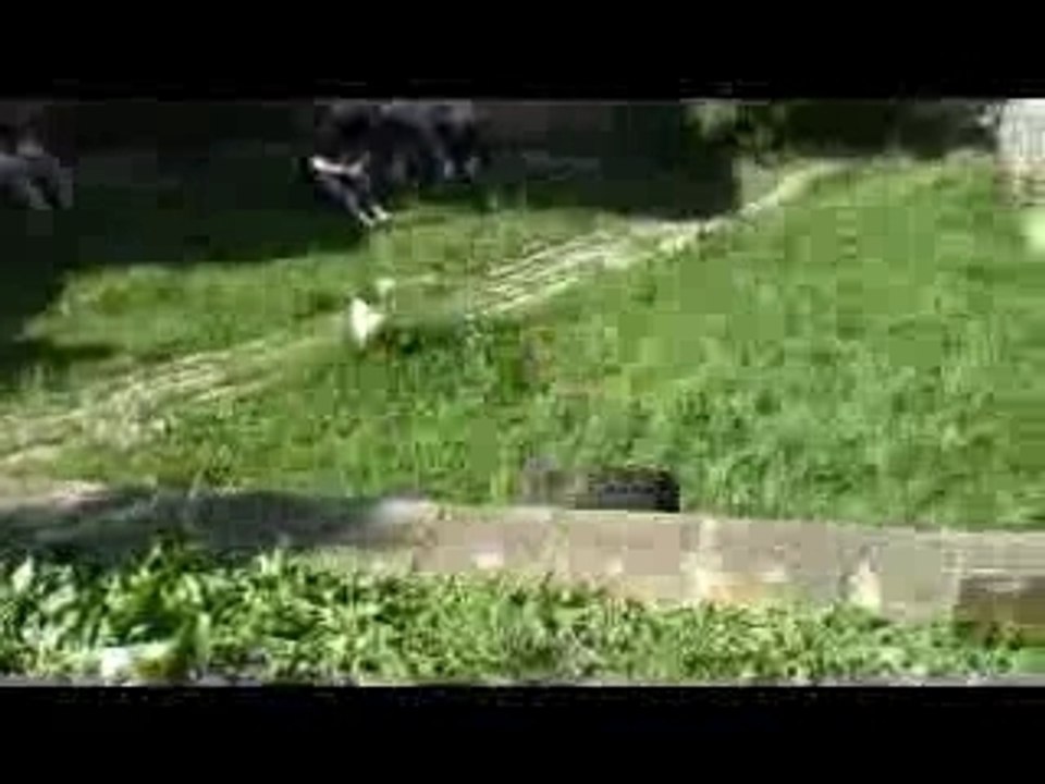 Sumerjam (bomfunk mc's ana nordeli-turn it up)