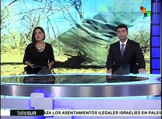 EE.UU. reitera y ratifica su respaldo total a la OTAN