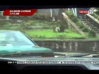 MMDA, nagtalaga ng Christmas Loop para mabawasan ang volume ng sasakyan sa EDSA