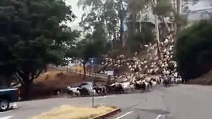 ПРИКОЛЫ и НЕУДАЧИ 2015 БОЛЬШАЯ видео подборка приколы 2015 // Best Funny Fails Compilation 2015 #60