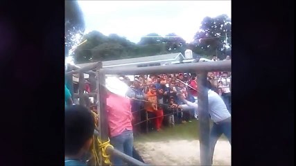 Funny bull fighting, Funny Videos ever seen