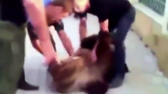 Угар полный | ЛУЧШИЕ ПРИКОЛЫ Ютуб