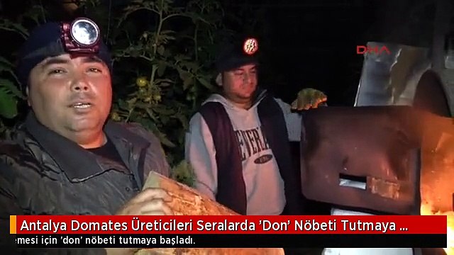 Antalya Domates Üreticileri Seralarda 'Don' Nöbeti Tutmaya Başladı 1-