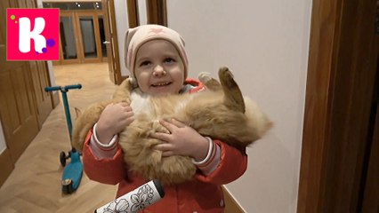 ВЛОГ Самые крутые самокаты и Супер велосипед для Кати и Макса Получили ШТРАФ за не оплаченную парковку новые серии видео