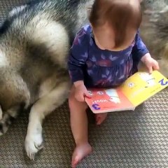 Quand bébé lit un livre au chien pour l'endormir