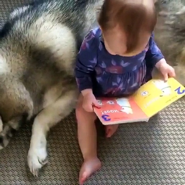 Quand bébé lit un livre au chien pour l'endormir