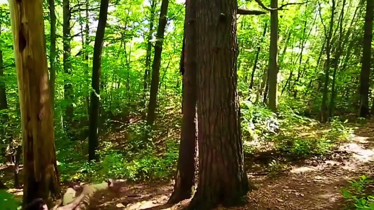 Взрослые Приколы ! Сборка самых смешных приколов 2017 Январь! Подборка приколов # 8