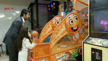 Apnay - Episode#67 - Complete - 27 Jan,2017 - SEE TV