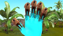 3D Lion Finger Family Rhymes For Children 3D Animated Finger Family Rhymes