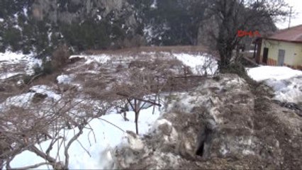 Mersin'de Çiftçiyi Selden Sonra Kar Vurdu-2