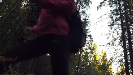 Knitting Fairytale - A Bedtime Story (Short Film)