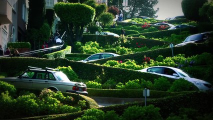 Environmentally friendly city and the city of Metropolis