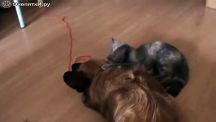 Грязное ухо   не беда!