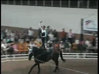 Voltige équestre : Sammy champion de France