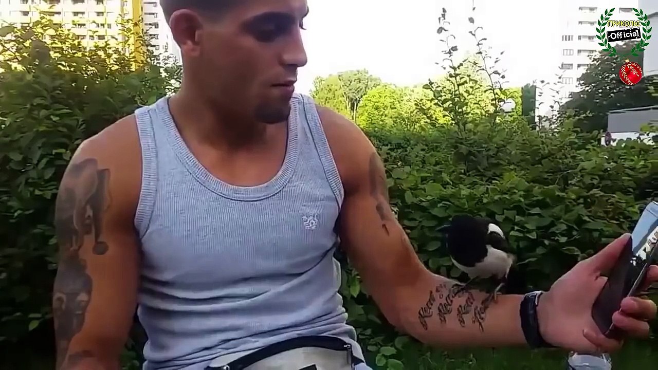 (16 ) РУССКИЕ ПРИКОЛЫ 2016 ДЕКАБРЬ | FUNNY VIDEOS #13
