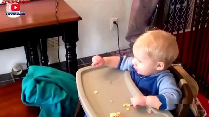 Приколы с кошками#4-Лучшие видео приколы 2016