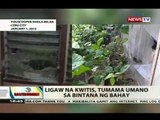 BT: Ligaw na bala, lumusot sa isang bahay habang nagme-media noche ang pamilya