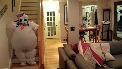 Le chien a vu une chose blanche descendre lentement les escaliers. Sa réaction est tout simplement surprenante !