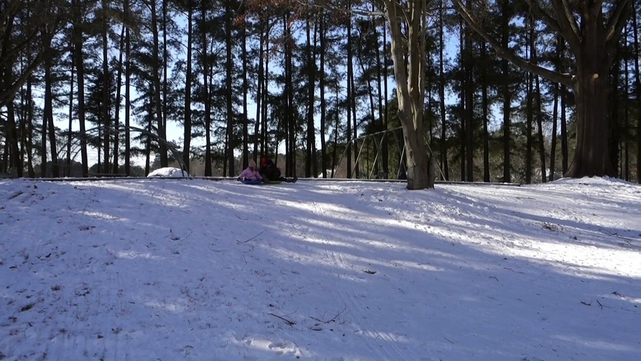 episode neigeux janvier 2017