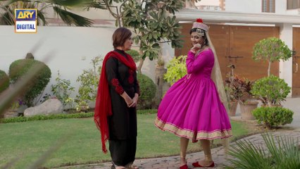 Watch Dilli Walay Dularay Babu Episode 23 - on Ary Digital in High Quality 28th January 2017