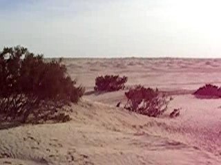 Pirate des Sables 2006 (14)