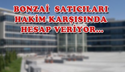 BONZAİ  SATICILARI  HAKİM KARŞISINDA  HESAP VERİYOR…