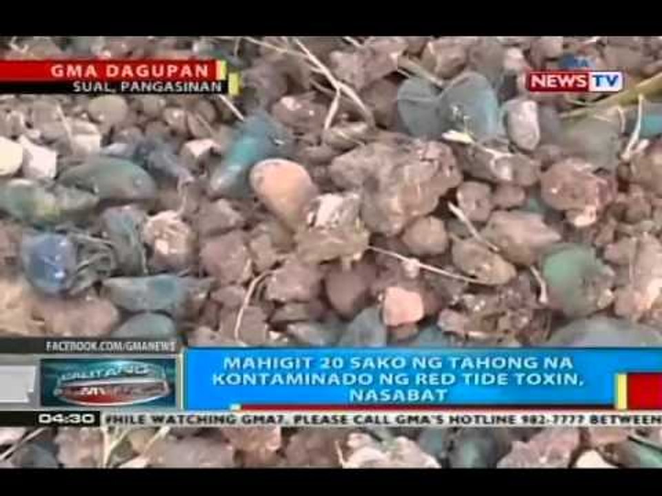 BP: Mahigit 20 sako ng tahong na kontaminado ng red tide toxin, nasabat sa Sual, Pangasinan