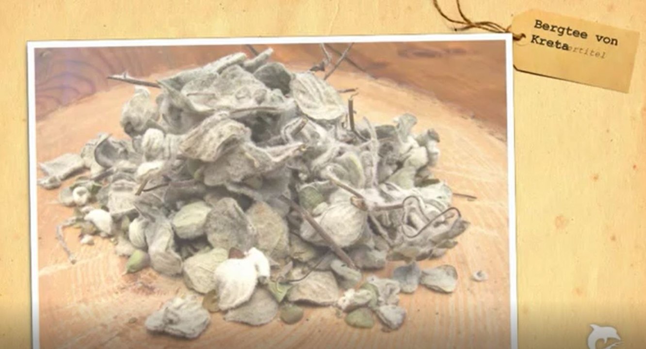 Bergtee, Wildkräutertee, Malotira und Diktamos aus den Bergen von Kreta
