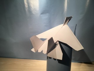 McDonnell Douglas F-15E Eagle Test Flight 80 feet