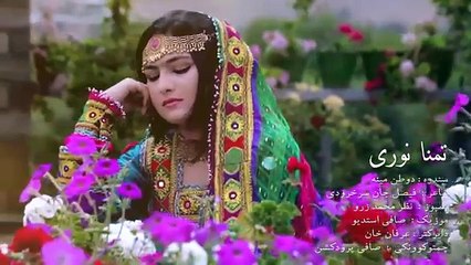 Pashto New Afghan Songs 2023 Musafir Janan