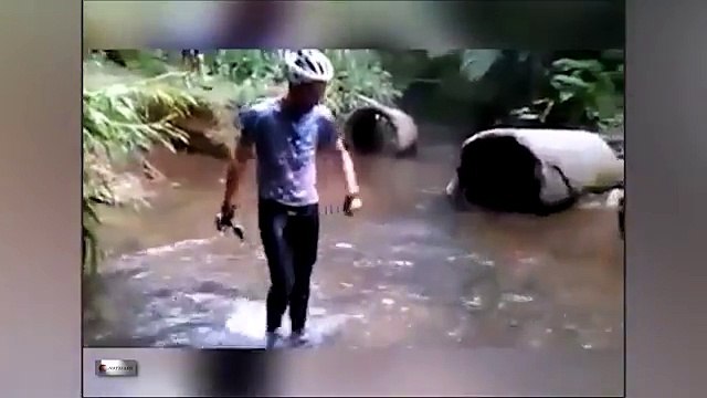 Melhores vídeos para Dar risadas